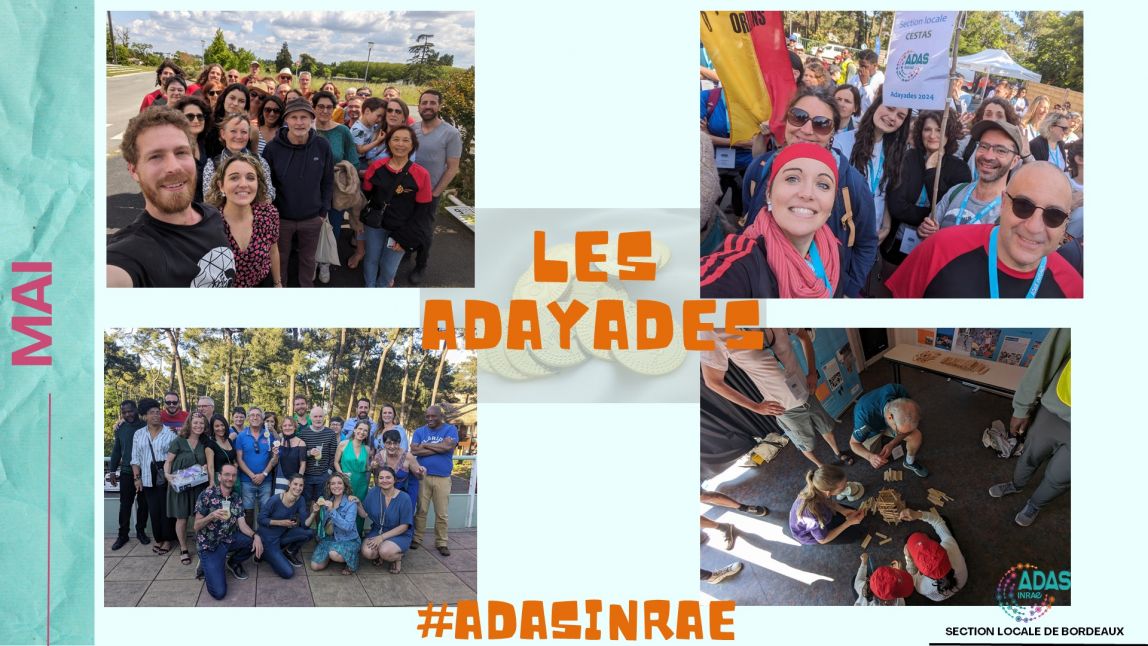 296c7ab0e45d-diapositive7.jpg